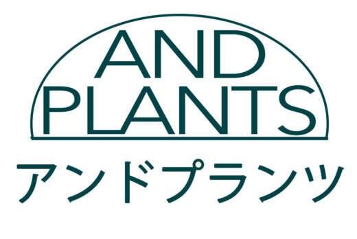 部屋を彩るアイテムのオンラインストア【 AND PLANTS（アンド​プランツ）】に掲載いただきました